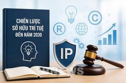 Hoàn thiện Chiến lược sở hữu trí tuệ đáp ứng yêu cầu phát triển mới