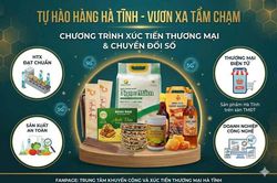 Người Hà Tĩnh ưu tiên dùng sản phẩm địa phương trên sàn thương mại điện tử