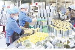 Truy xuất nguồn gốc - “tấm vé thông hành” vào các thị trường lớn