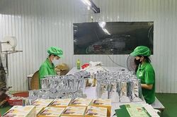 'Bàn đạp' vững chắc phát triển vùng nguyên liệu địa phương