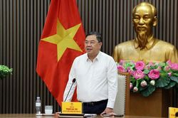 Phó Thủ tướng: Không để lợi dụng nhập ô tô làm quà biếu, quà tặng để trục lợi chính sách