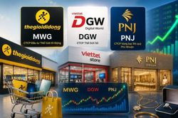 Công ty chứng khoán đánh giá thế nào về triển vọng cổ phiếu ngành bán lẻ MWG, DGW và PNJ?