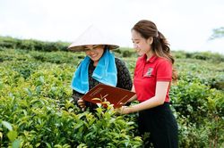Lỗ hổng dữ liệu cản trở t&iacute;n dụng xanh