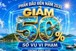 Phấn đấu đến năm 2030, giảm 50% số vụ vi phạm trong khu vực bảo tồn biển Cù Lao Chàm