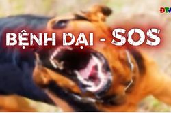 Phòng chống bệnh dại - thách thức và giải pháp