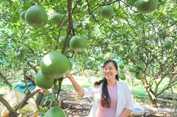 Rộng mở thị trường xuất khẩu trái cây tươi