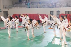 Khẳng định vị thế phong trào võ thuật tỉnh nhà