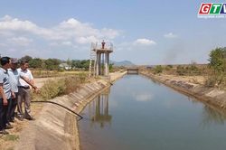Điểm tin trưa: Gia Lai dự kiến đầu tư 810 tỷ đồng cho 3 dự án thủy lợi cấp bách