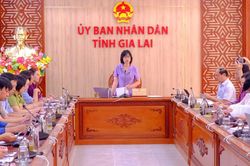 Gia Lai họp nghe báo cáo đề án du lịch sinh thái tại Kon Ka Kinh và Kon Chư Răng
