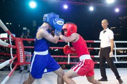 Khai mạc Đại hội TDTT môn boxing và Giải vô địch boxing trẻ các CLB, võ đường tỉnh Gia Lai năm 2026