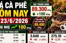 Gi&aacute; c&agrave; ph&ecirc; h&ocirc;m nay 23/6: Nh&iacute;ch nhẹ sau phi&ecirc;n giảm s&acirc;u