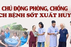 Chủ động phòng, chống dịch bệnh sốt xuất huyết