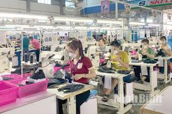 Chủ động khai thác nguồn thu, bảo đảm hoàn thành nhiệm vụ thu ngân sách nhà nước năm 2026