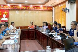 Hội Người Cao tuổi tỉnh làm việc với Trung tâm Già hóa Chủ động và Sáng tạo ASEAN