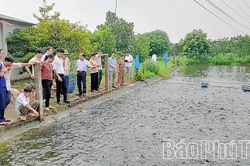 Phát triển sản xuất thủy sản bền vững