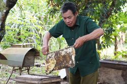 Gian nan xây dựng nông thôn mới