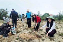 Chung tay vì môi trường xanh