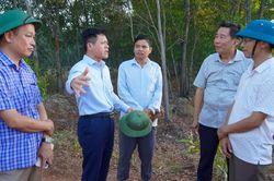 Bố tr&iacute; lực lượng t&uacute;c trực nhằm ngăn chặn đ&aacute;m ch&aacute;y b&ugrave;ng ph&aacute;t trở lại