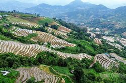 Mùa nước đổ trên danh thắng ruộng bậc thang Hoàng Su Phì