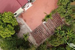 Tương nếp và nghệ thuật lên men đặc biệt