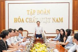 Tổng Giám đốc Vinachem làm việc với Tổ công tác phát triển sản xuất hóa dược, dược phẩm