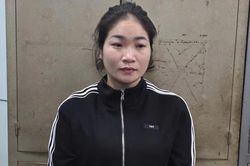 Phú Thọ: Khởi tố đối tượng lừa làm thủ tục đất đai, chiếm đoạt hơn 4 tỷ đồng