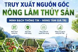 18.000 sản phẩm sẵn sàng tham gia hệ thống truy xuất nguồn gốc