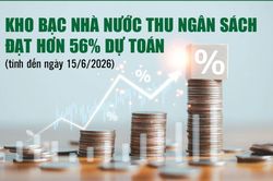 Infographics: Kho bạc Nhà nước thu ngân sách đạt 1.425.563 tỷ đồng
