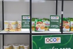 TP. Hồ Chí Minh: Đánh giá, phân hạng sản phẩm OCOP