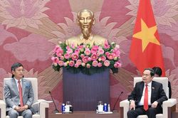 Quốc hội Việt Nam phối hợp chặt chẽ triển khai các thỏa thuận và nhận thức chung của lãnh đạo cấp cao Việt Nam - Ấn Độ