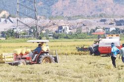 Gạo Hòa Tiến nâng tầm giá trị từ nhãn hiệu tập thể, OCOP và chuyển đổi số