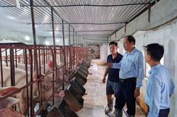 Dòng vốn hợp tác tiếp sức kinh tế nông thôn Thọ Nghiệp