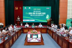 Tháo nút thắt dòng vốn xanh để tạo động lực tăng trưởng mới