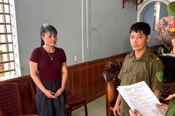 Khởi tố 3 bị can mua bán, giết mổ lợn nhiễm dịch tả châu Phi
