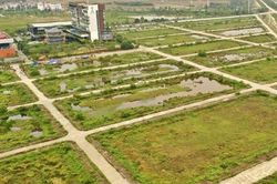 Hà Nội sắp đấu giá 10 lô đất tại Nội Bài, giá khởi điểm gần 22 triệu đồng/m2