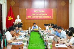 Ban Ph&aacute;p chế HĐND tỉnh thẩm tra c&aacute;c nội dung tr&igrave;nh Kỳ họp thứ 4