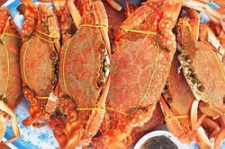 Cách hấp cua, ghẹ thơm ngon, chắc thịt, hết sạch mùi tanh lại không rụng càng