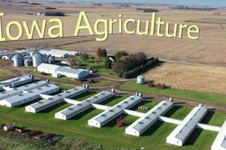 Biến động ch&iacute;nh trị tại Iowa g&acirc;y lo ngại cho n&ocirc;ng d&acirc;n Hoa Kỳ