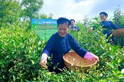 'Tam nông' khơi thông nguồn lực thúc đẩy nông thôn phát triển bền vững