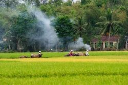 Nông nghiệp, nông dân, nông thôn - mối quan tâm hàng đầu của Đảng và Nhà nước