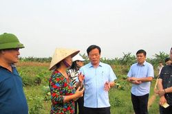 Giải phóng mặt bằng các dự án trọng điểm: Công khai, minh bạch để tạo đồng thuận