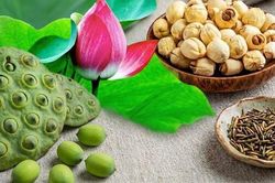 Hạt sen tươi và hạt sen khô, loại nào tốt hơn?