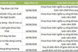 Cổ phiếu Lộc Trời, Rạng Đông Holding cùng loạt mã trên HNX bị đình chỉ giao dịch