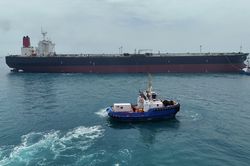 Sinh vật biển làm khó tàu ở Hormuz