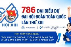 [Infographic] 786 đại biểu dự Đại hội Đoàn toàn quốc lần thứ XIII