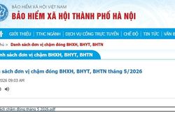 Các quy định xử lý hành vi chậm đóng, trốn đóng bảo hiểm xã hội, bảo hiểm y tế