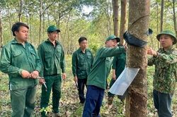 Giữ vững vị trí đơn vị tiêu biểu sản xuất, kinh doanh tại Điện Biên