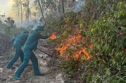 Dập tắt 3 điểm cháy rừng trên địa bàn tỉnh Thanh Hóa