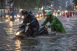 Chút tình của người dưng
