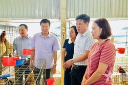Thay đổi tư duy sản xuất ở vùng cao Lào Cai